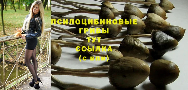 jwh Вязьма