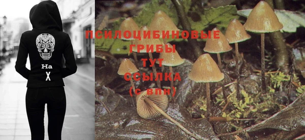 дживик Вяземский