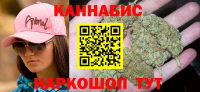 индика Заводоуковск