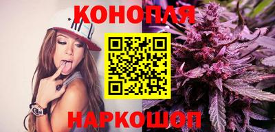 индика Заводоуковск