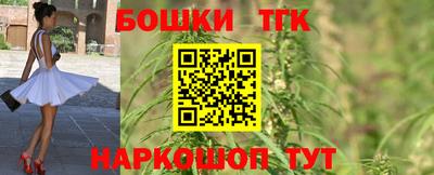 индика Заводоуковск