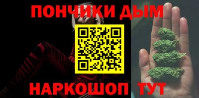 индика Заводоуковск