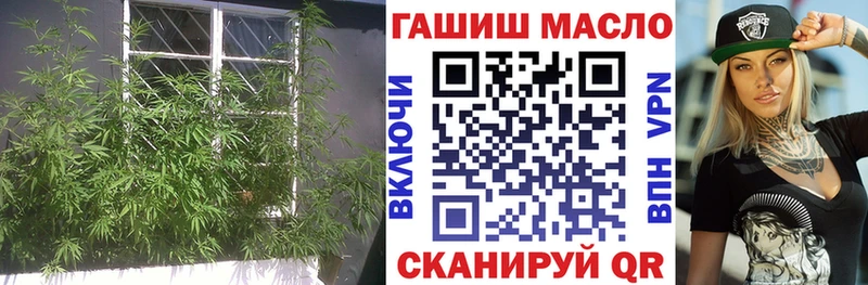 ТГК Wax  мега онион  Москва 