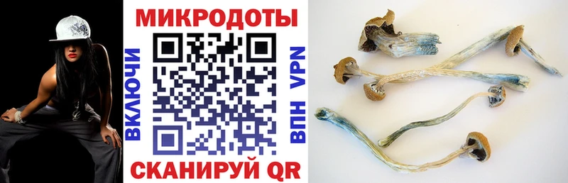 магазин продажи наркотиков  Москва  Псилоцибиновые грибы MAGIC MUSHROOMS 