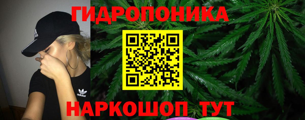 Бошки марихуана Amnesia Москва